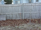 06_01_7_Middle Rear Marker.JPG